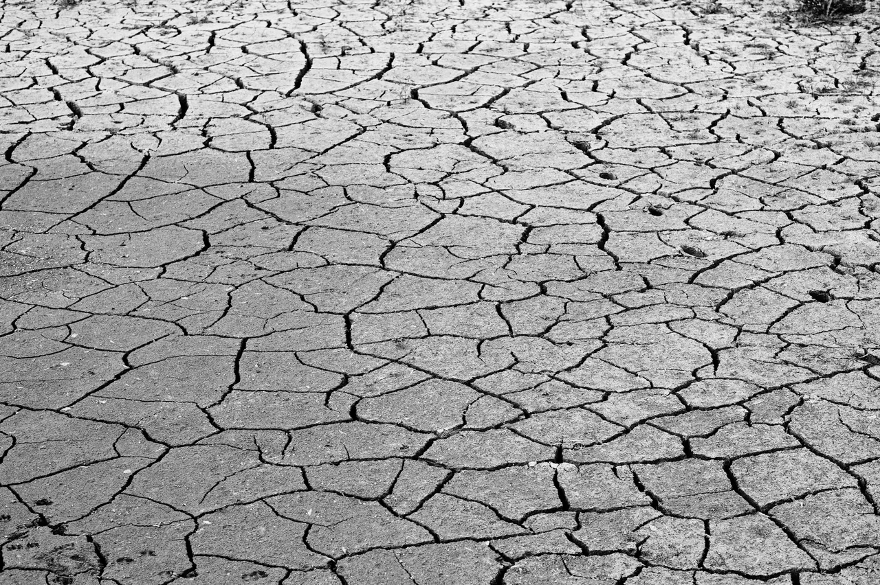 La grieta de 200 metros en Galeana: la UANL la vincula a la sobreexplotación de acuíferos