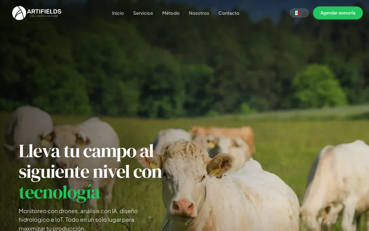 Sitio web de Artifields