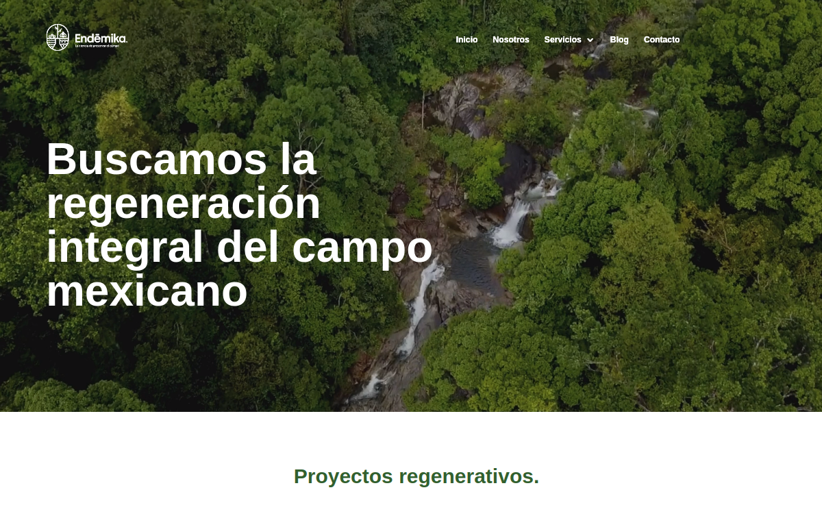 Sitio web de Endémika