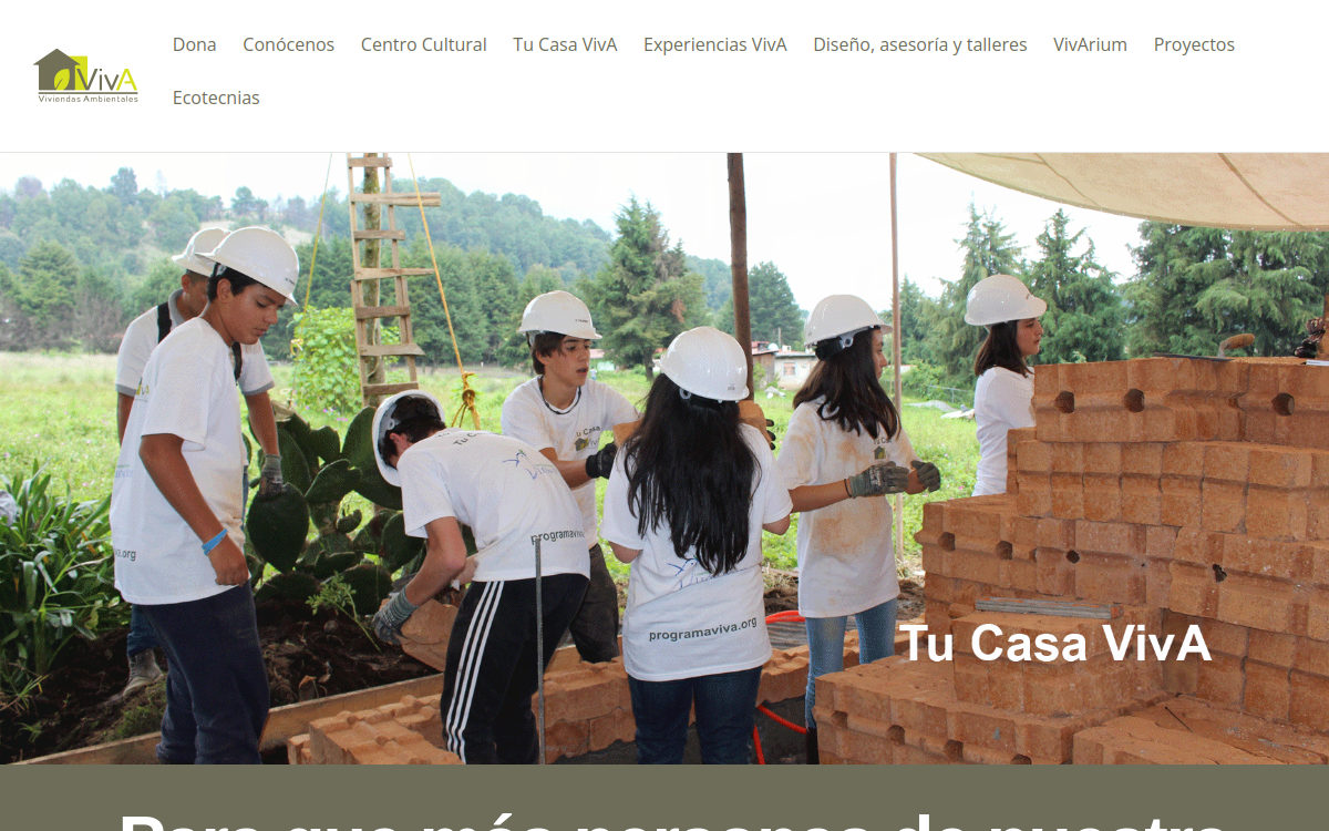 Sitio web de Programa VivA